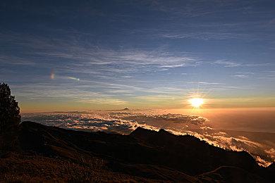 《沙丘：觉醒》Steam平台预购已开启